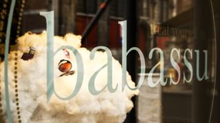 Babassu